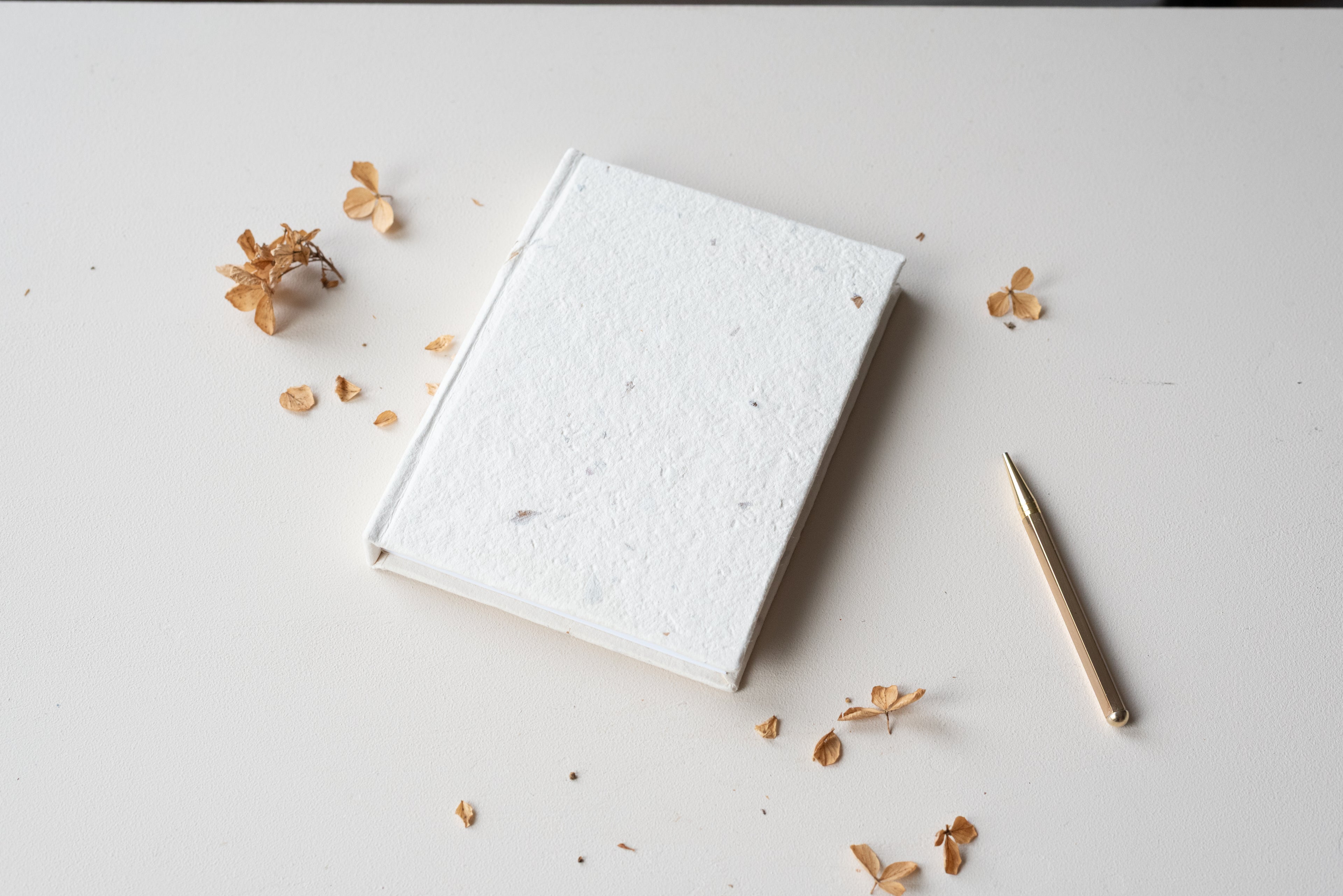 Carnet de poche Atelier Pastourelle