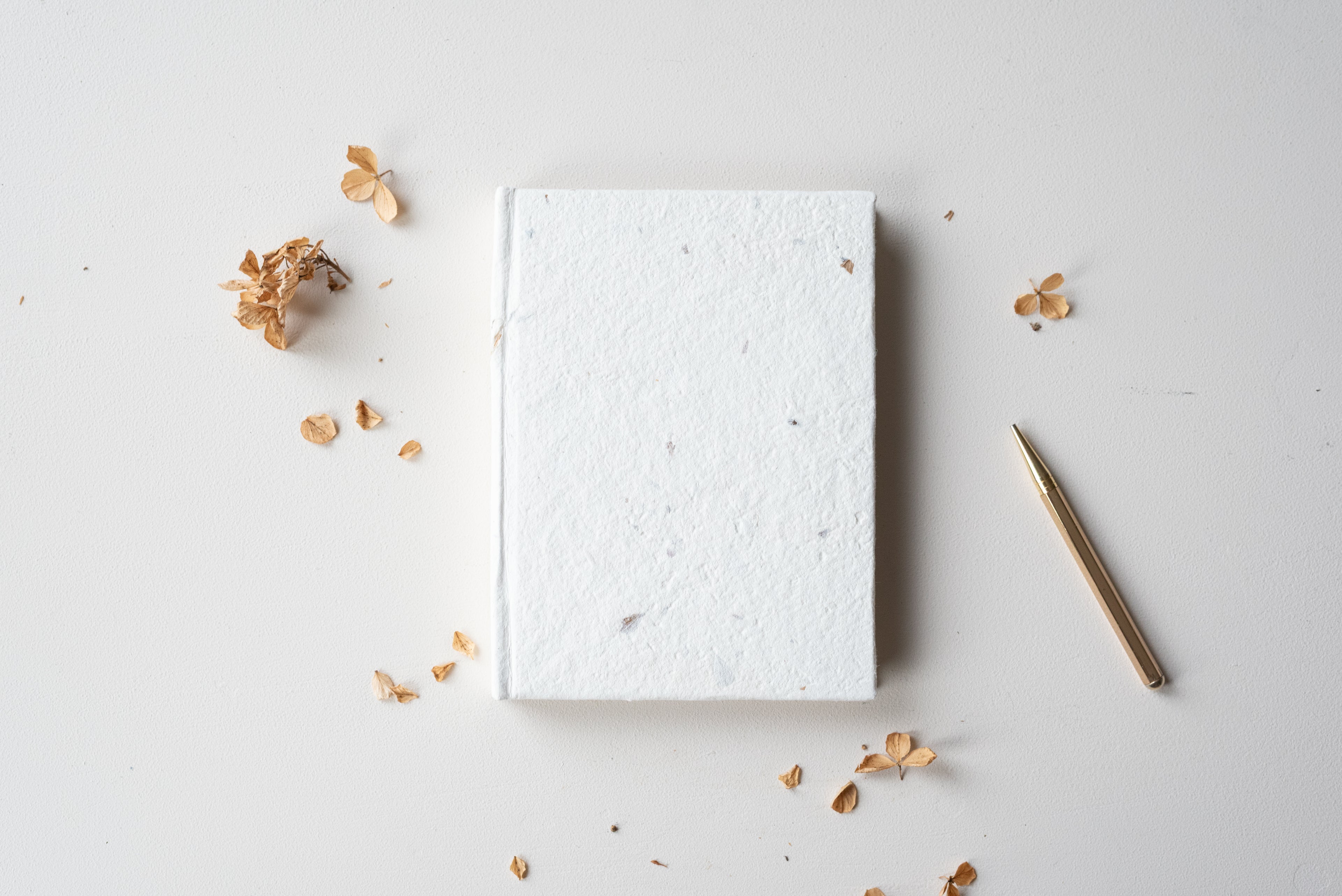 Carnet de poche Atelier Pastourelle