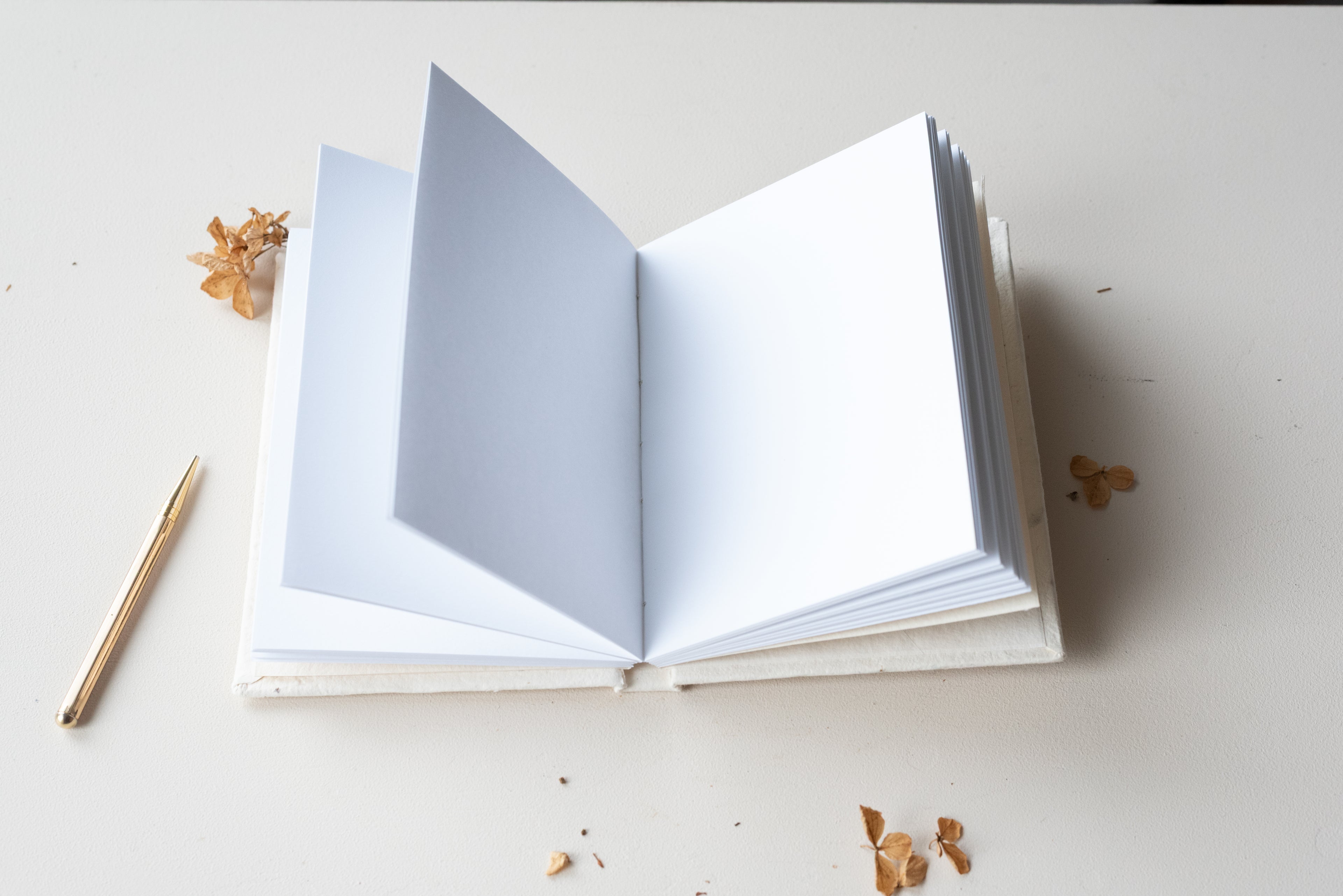 Carnet de poche Atelier Pastourelle