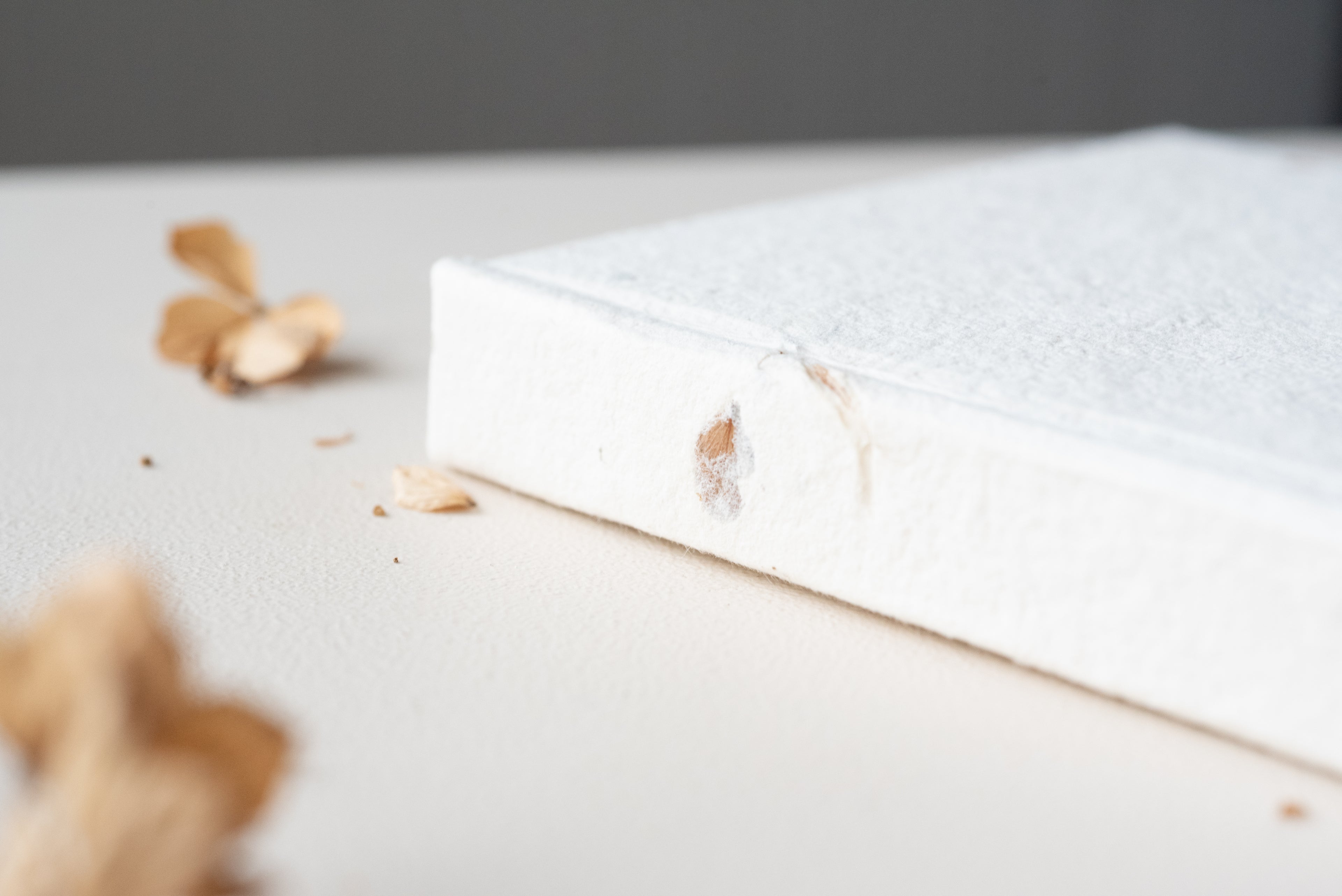Carnet de poche Atelier Pastourelle